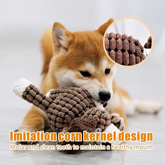 Teething Training Teddy Shiba Inu Interactive Pet Toy