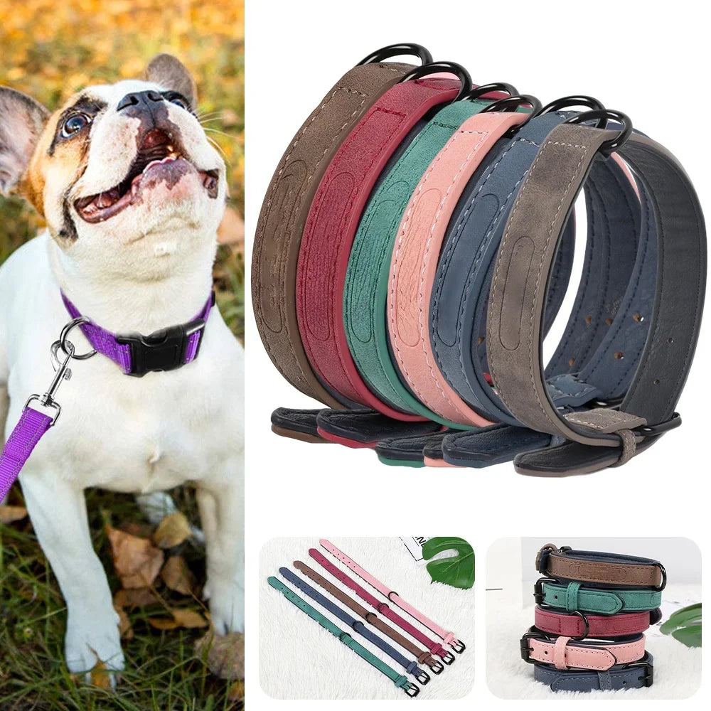 Leather Padded Dog Collar Comfortable Strong Soft