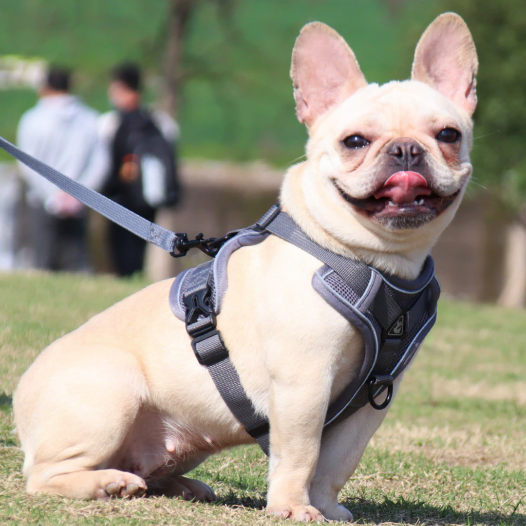 Reflective Nylon Dog Harness No Pull Adjustable Vest