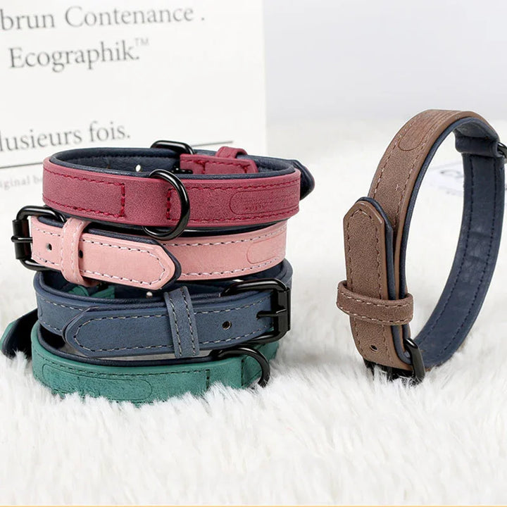 Leather Padded Dog Collar Comfortable Strong Soft