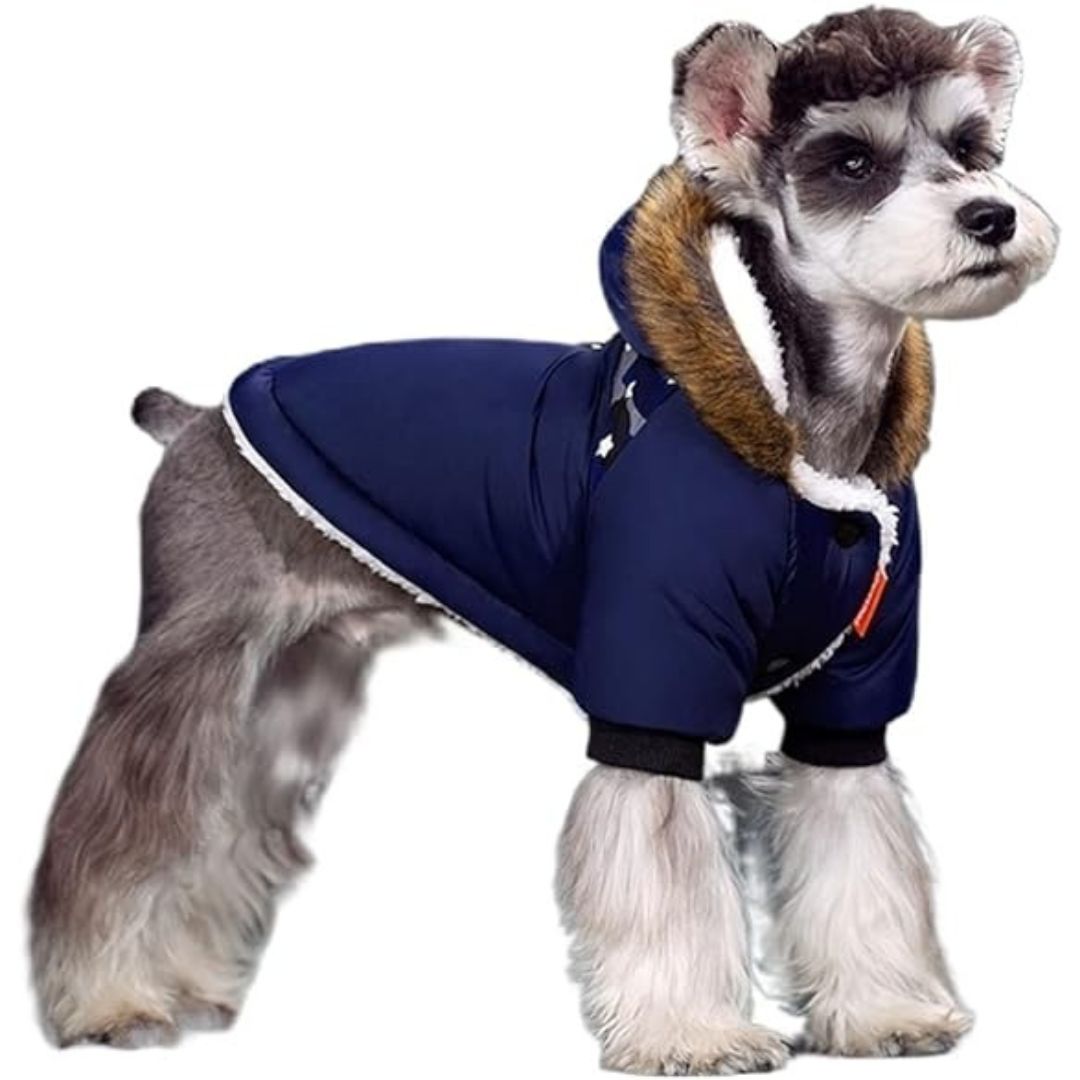 Warm Rainproof Dog Coat with Fur Hood