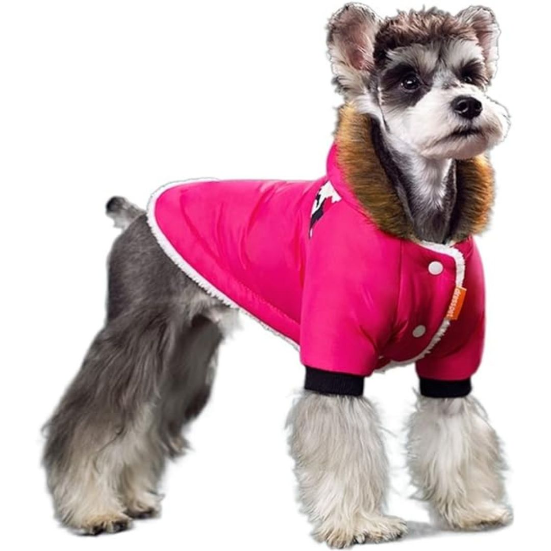 Warm Rainproof Dog Coat with Fur Hood