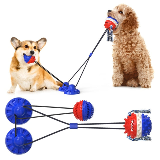 Pet Molar Toy With Suction Cup Squeaky Dog Chew Rope Ball Toy