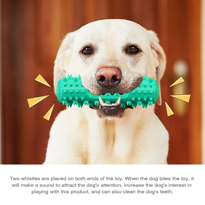 Dog Chew Toy for Molar Cleaning and Teeth Care