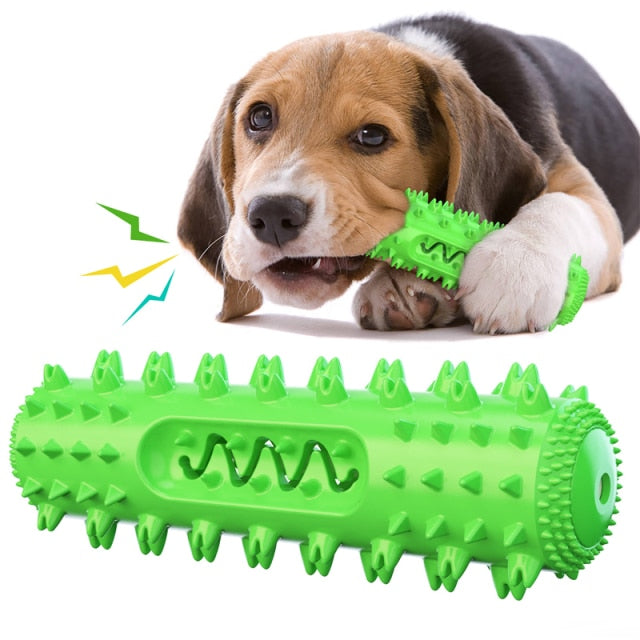 Dog Chew Toy for Molar Cleaning and Teeth Care
