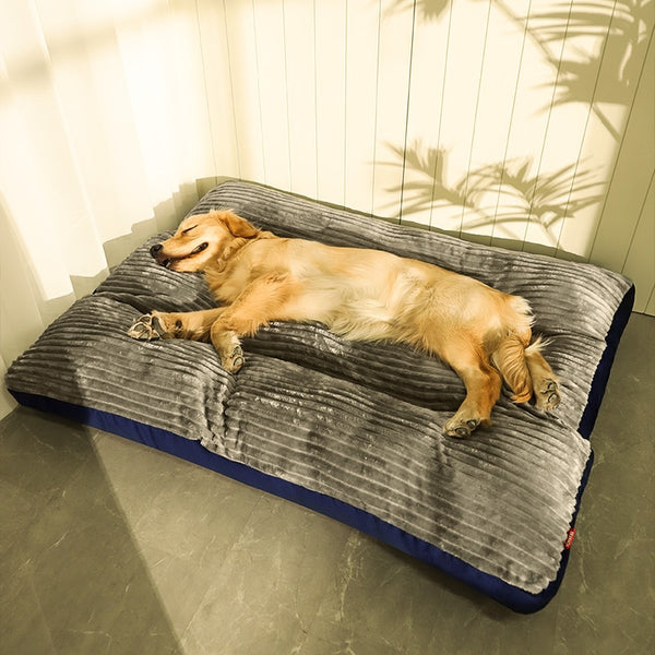 Modern Pet Sofa Bed