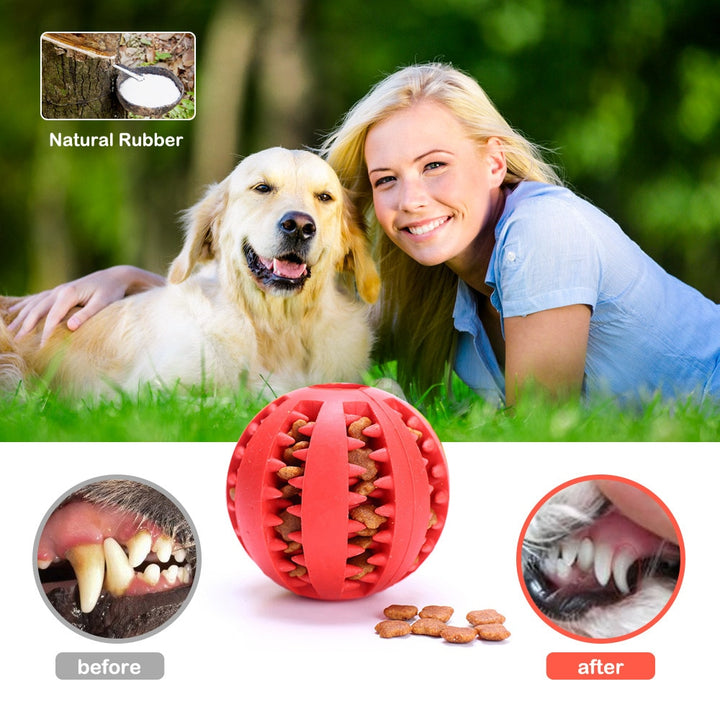Rubber teeth Cleaning Chew Ball Treat Dispenser