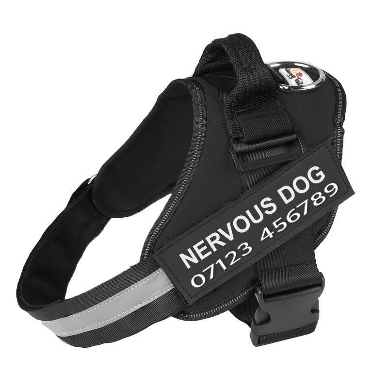 Personalised No Pull Dog Harness - Waggy Tails™
