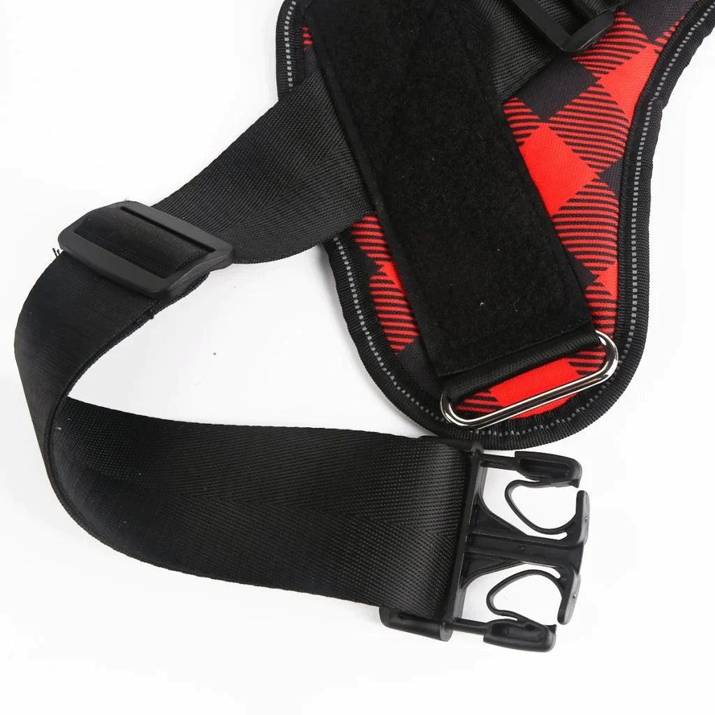 Personalised No Pull Dog Harness - Waggy Tails™