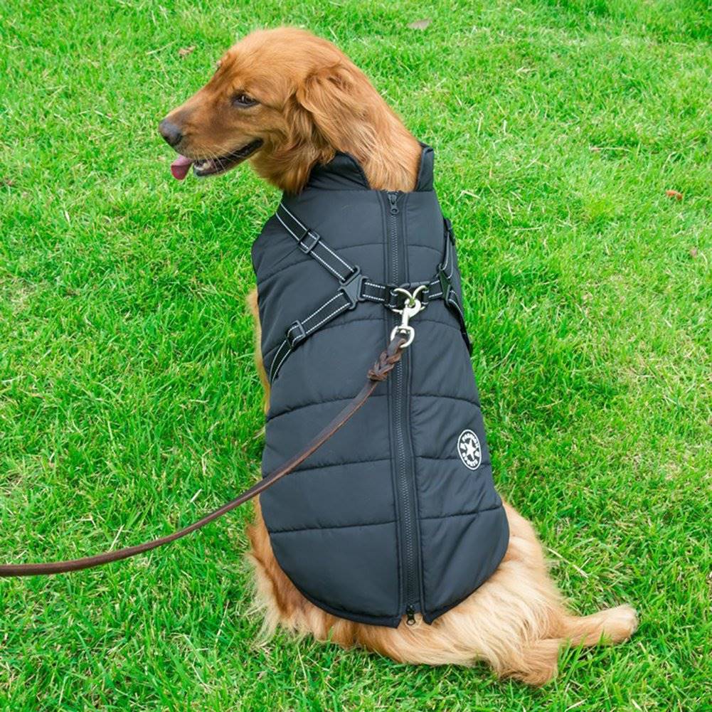 Warm Rainproof Dog Coat/Jacket